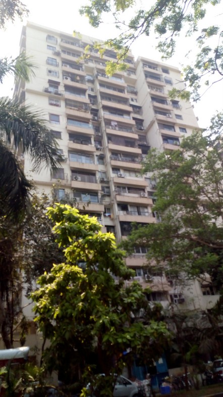 Main - Sunflower, Cuffe Parade